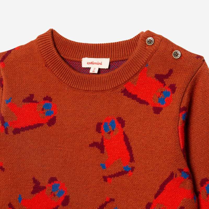 Pull bébé garçon jacquard skate Catimini