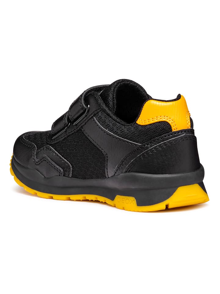 Geox Sneakers 