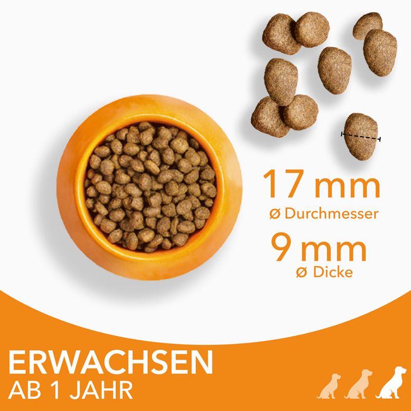 IAMS Advanced Nutrition Adult Large Dog mit Huhn