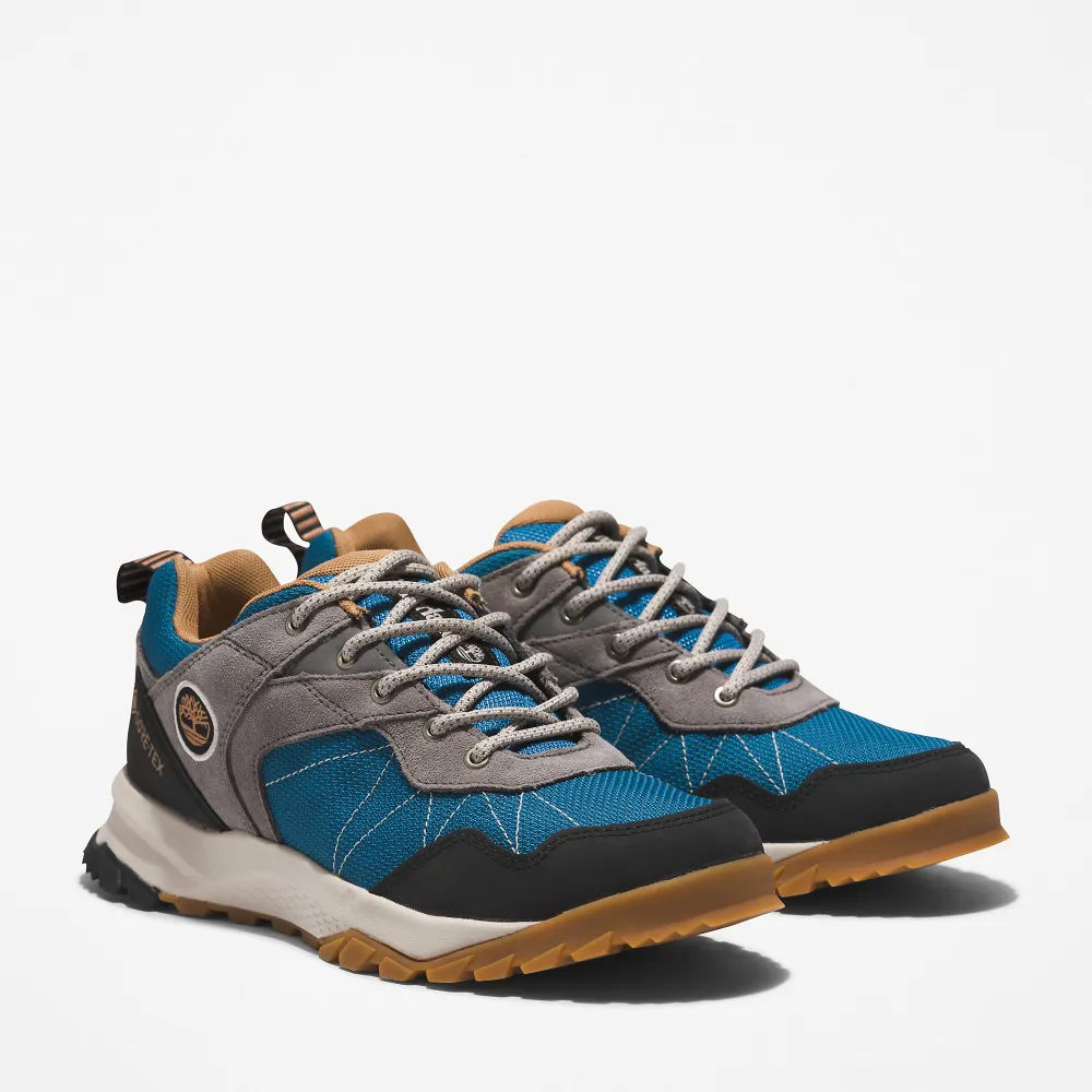 Timberland Lincoln Peak Gore tex TB0A5MSQCY31 / grau