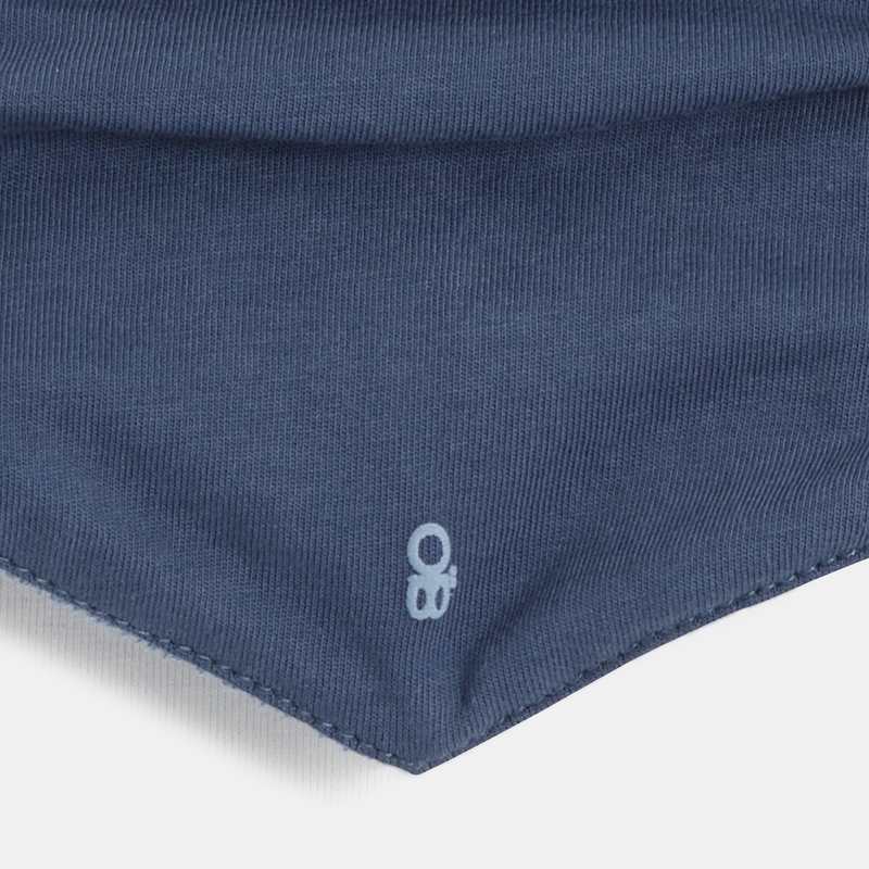 Foulard triangle rayé (lot de 2) bleu naissance