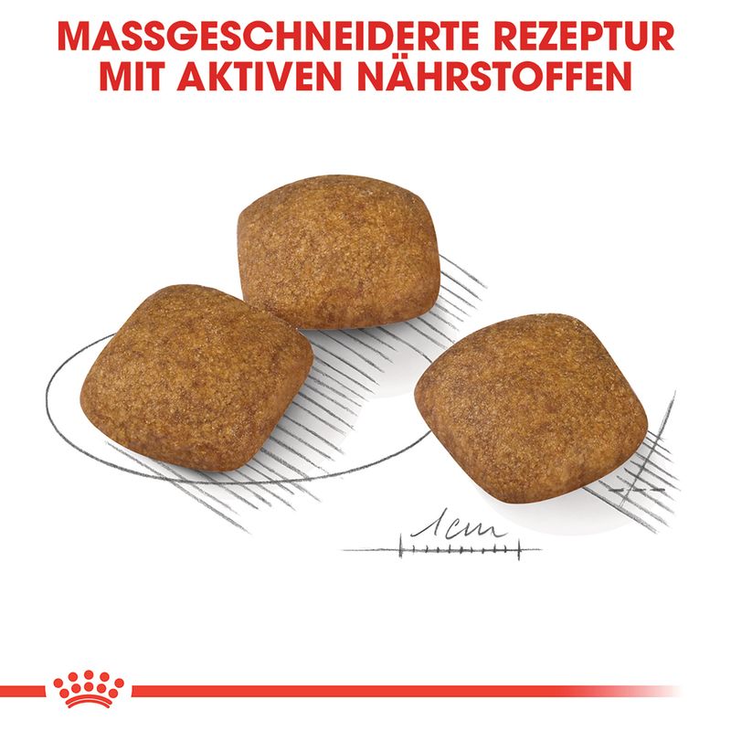 Royal Canin Relax Care Medium