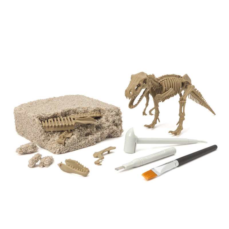 Coffret dinosaure T-rex à déterrer Oxybul