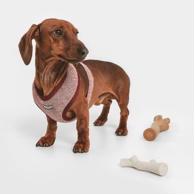 Nomad Tales Calma Hundespielzeug Bambus-Ast