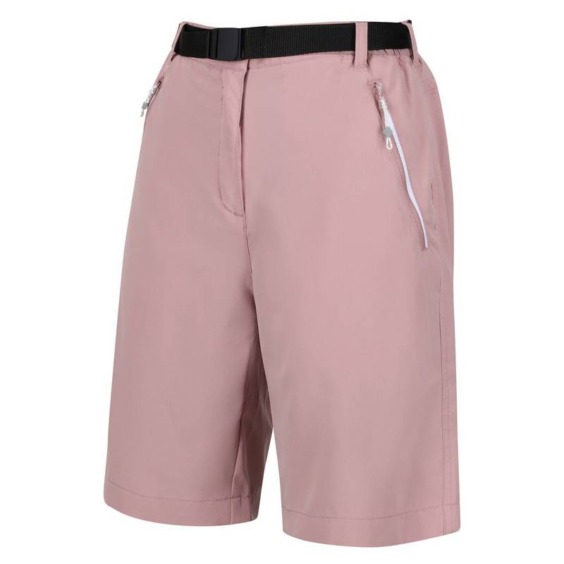 Regatta Xert It Shorts Damen