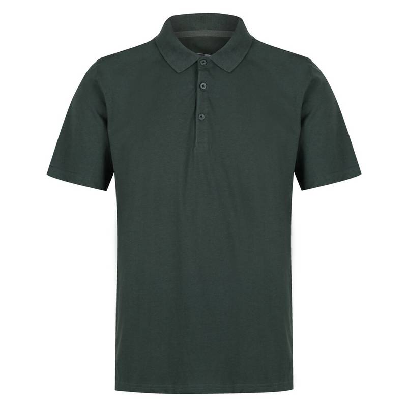 Regatta Sinton Poloshirt Herren
