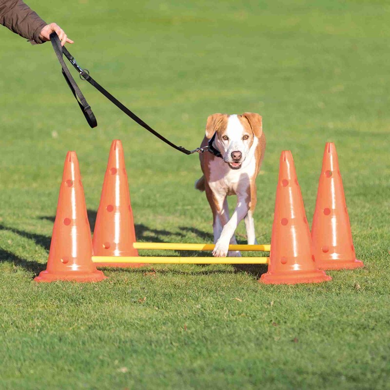 Trixie Agility & Training Trixie Dog Activity Hindernisse Ø30x50cm