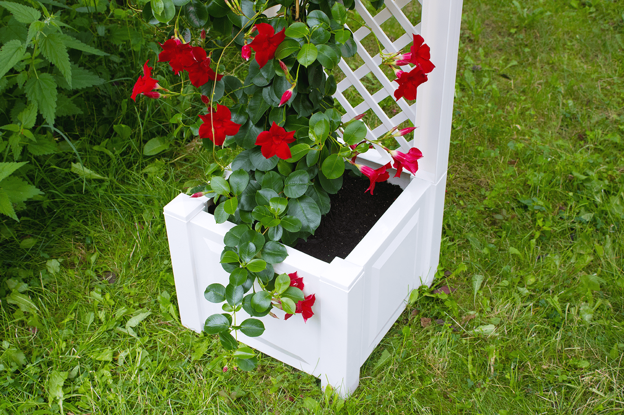 KHW KHW Pflanzkasten 43 cm mit Spalier, weiß