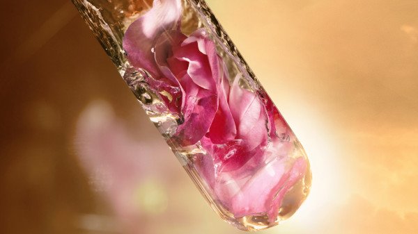 Lancôme Absolue Rich Creme - Tagespflege
