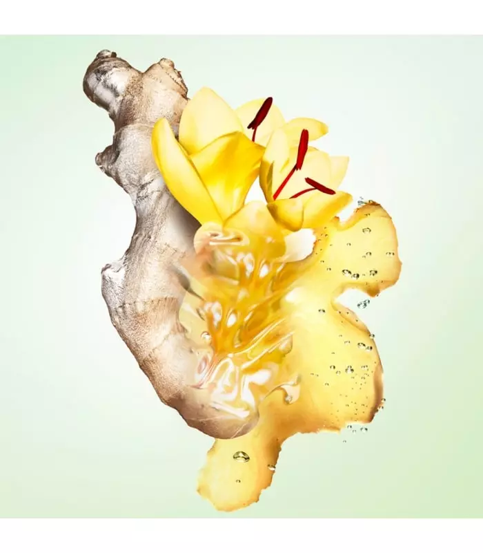 INFUSION DE GINGEMBRE Eau de parfum Vive héspéridée Boisée pour homme et femme