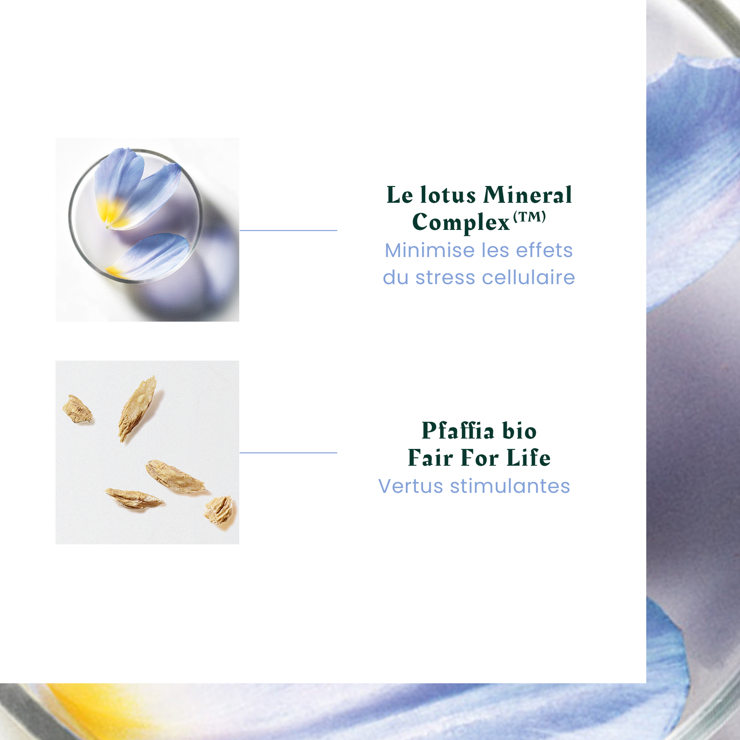 René Furterer Rituel Anti-Chute Triphasic Reactional - Coffret 12 Ampoules
