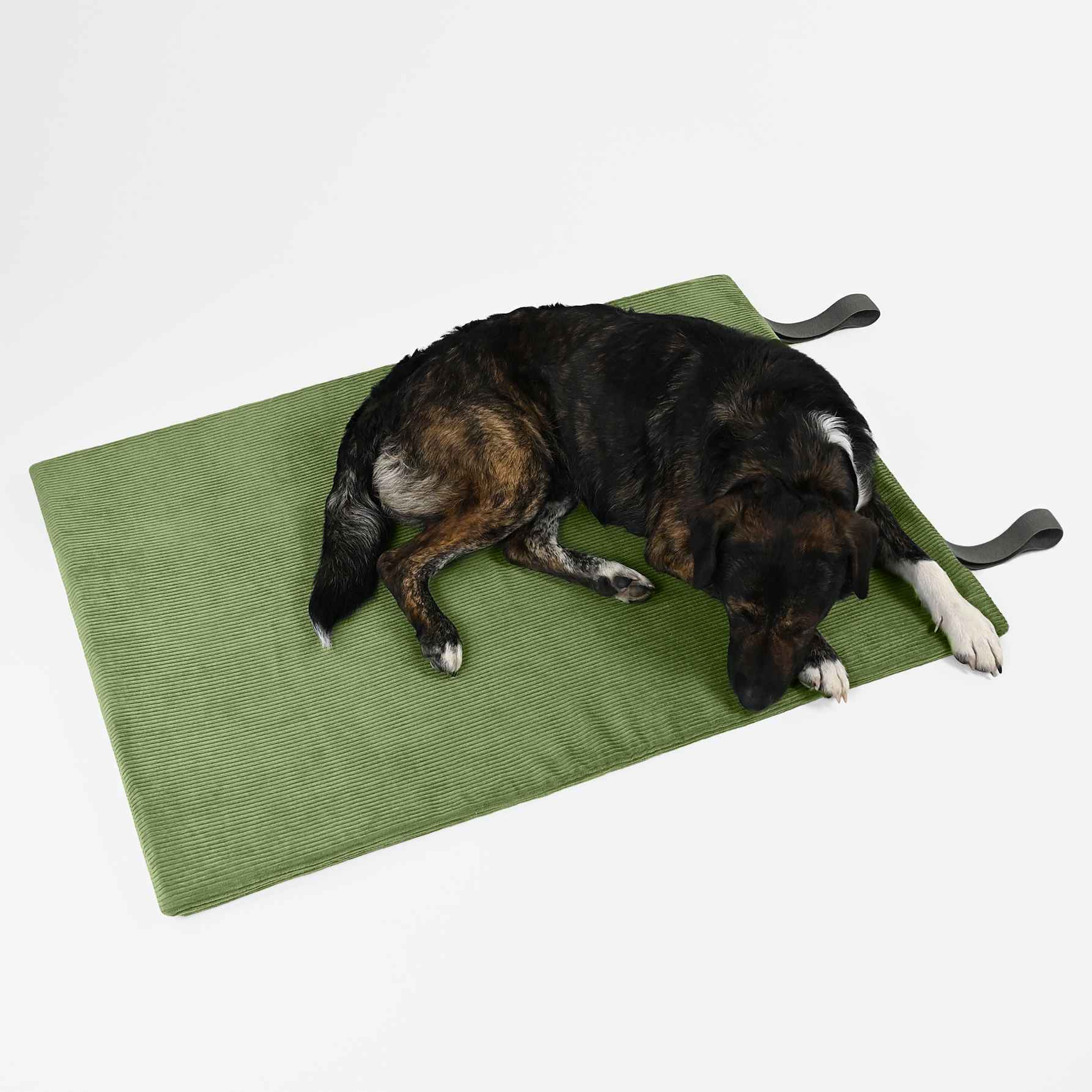 THE DOG IDEA Hundebetten THE DOG IDEA Reisebett Travelbed Grün