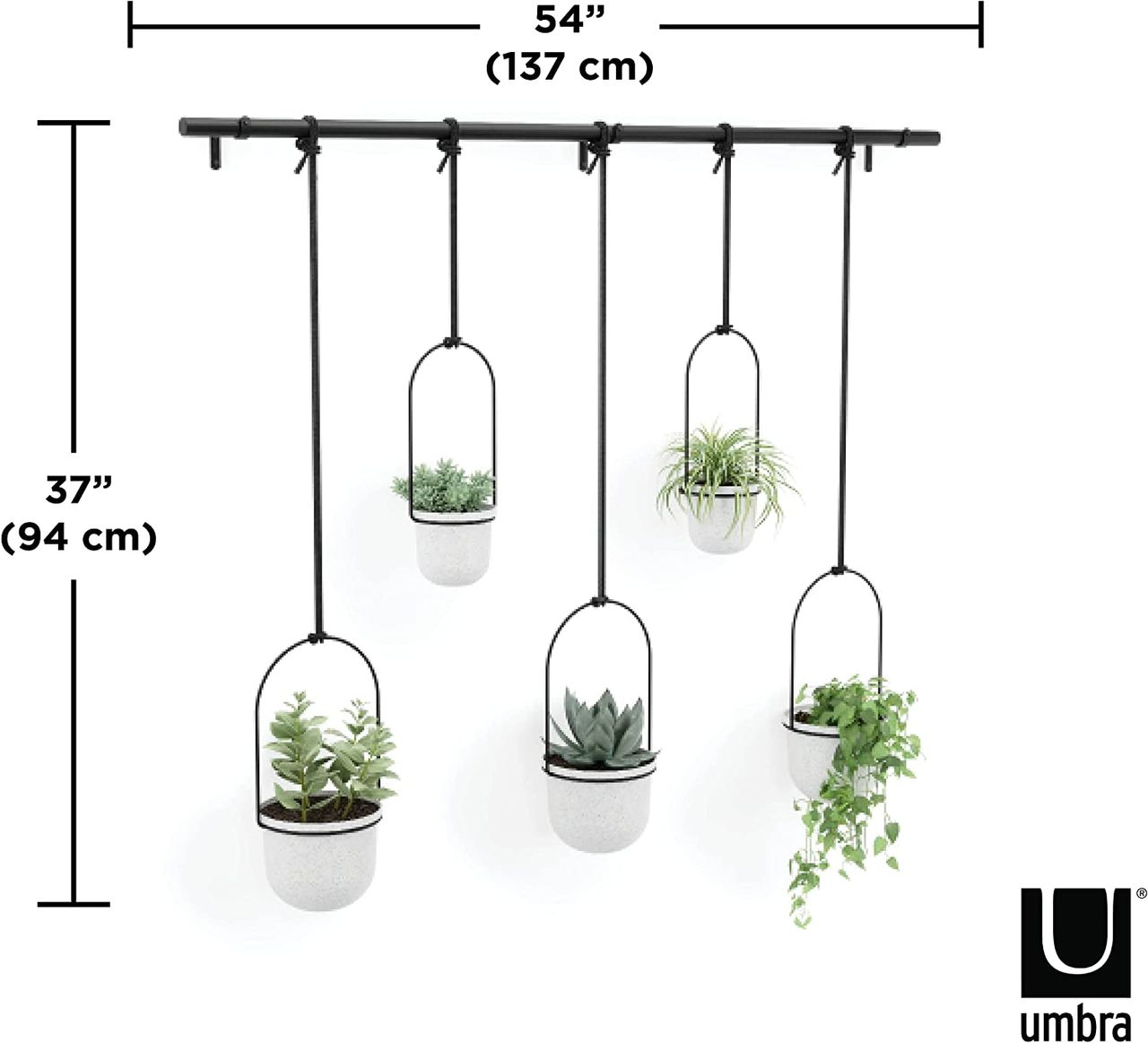 trends4cents Umbra Triflora WHITE Hängeblumentopf, Wandvase, Blumentopf, Blumenampel für Wand-& Deckenanbringung