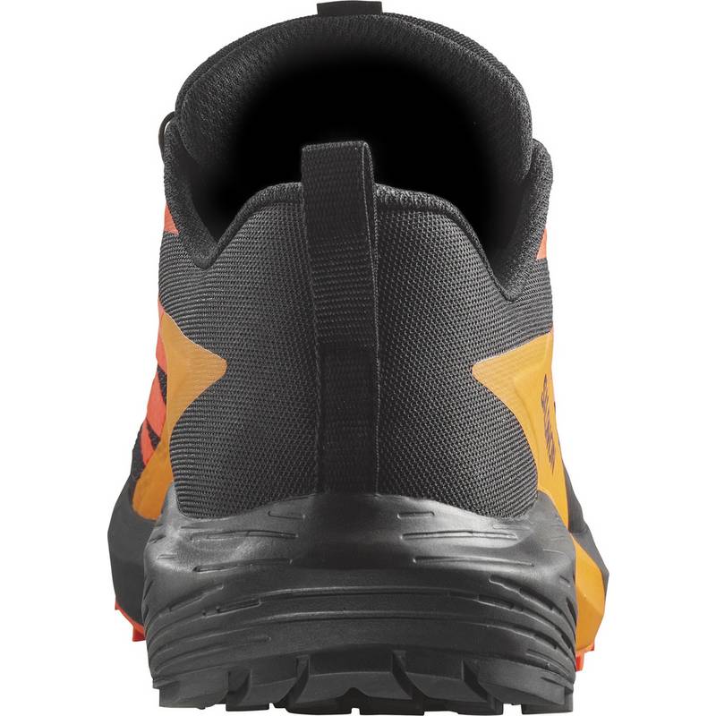 Salomon SENSE RIDE 5 Laufschuhe Herren