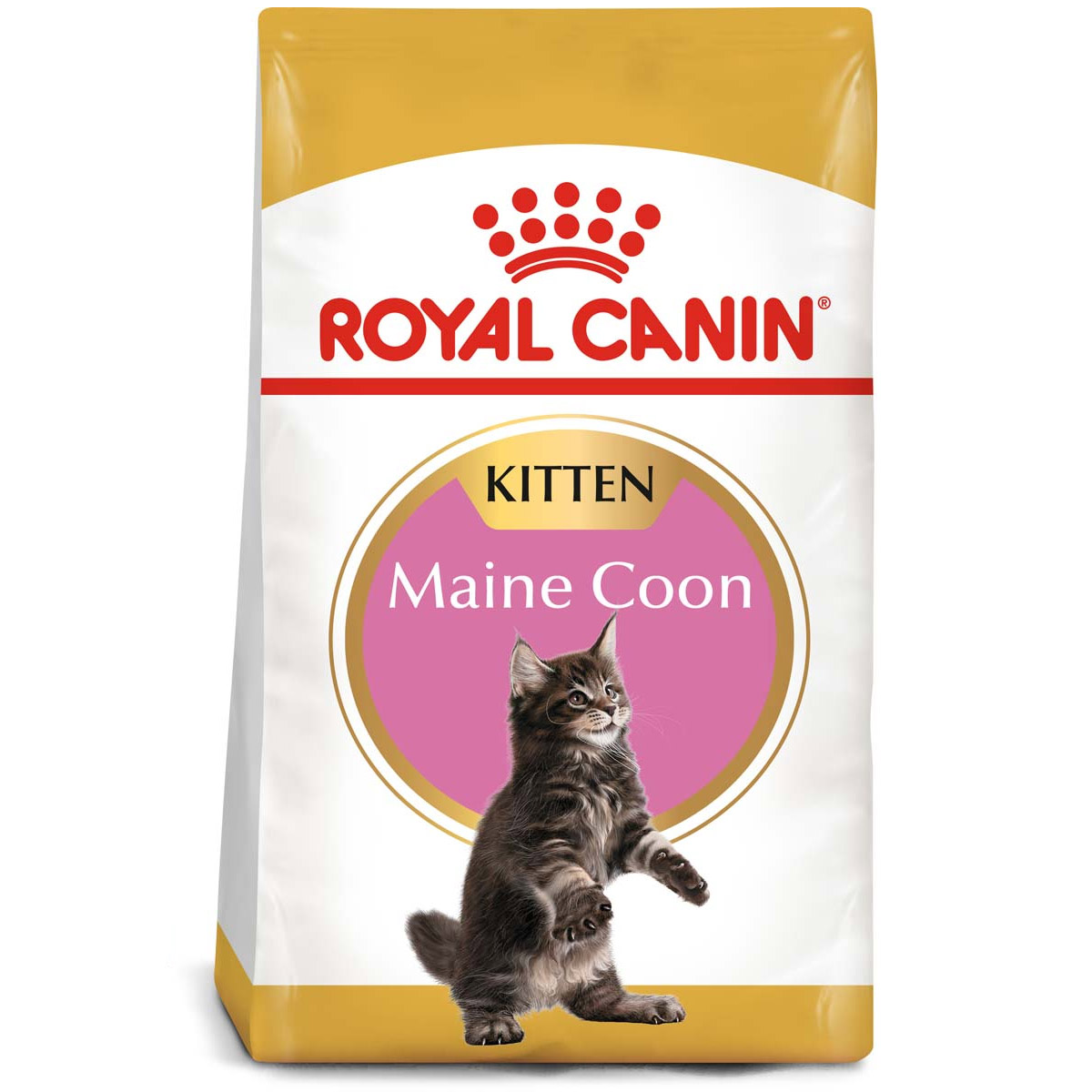 ROYAL CANIN Maine Coon Trockenfutter für Kätzchen