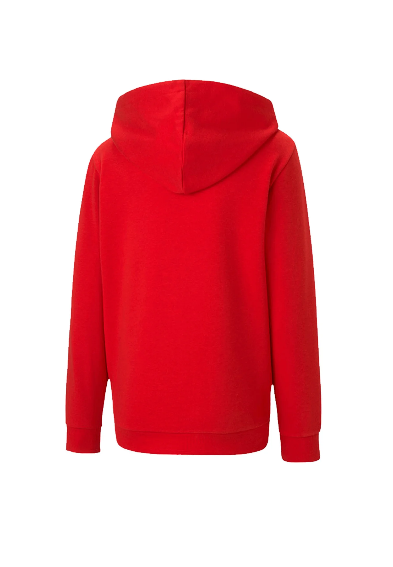 Puma TEAMGOAL - Sudadera con capucha