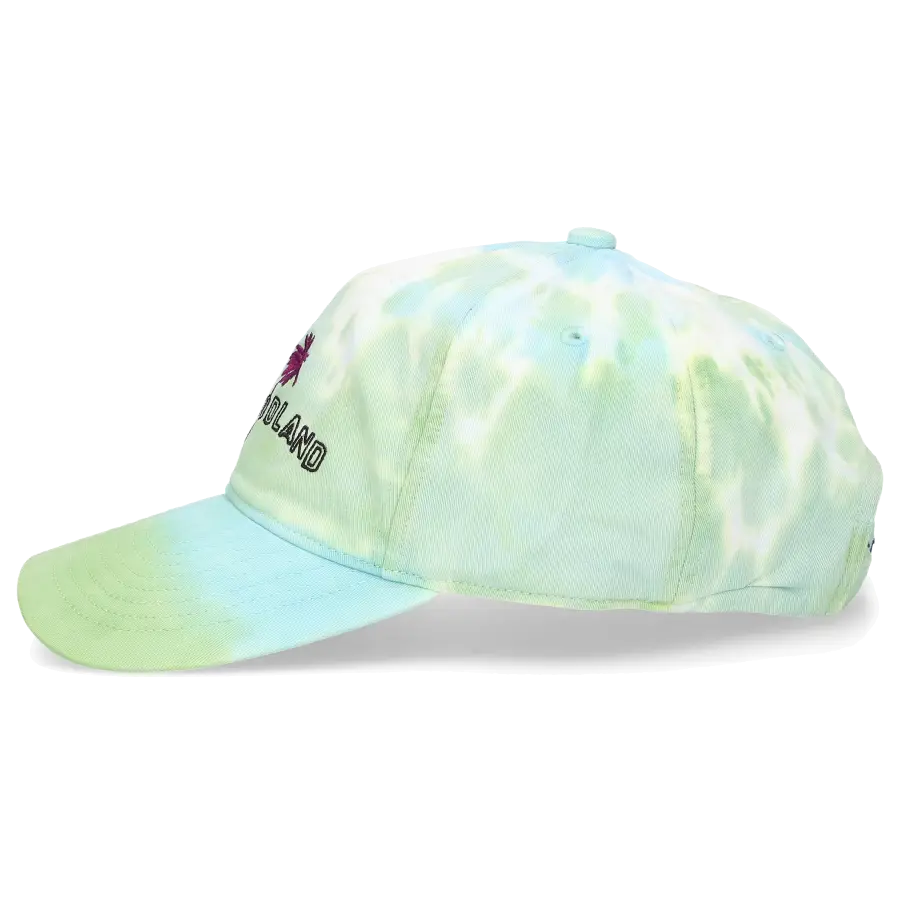 NASASEASONS - Snapback cap HOLLYWOODLAND Baumwolle - grün