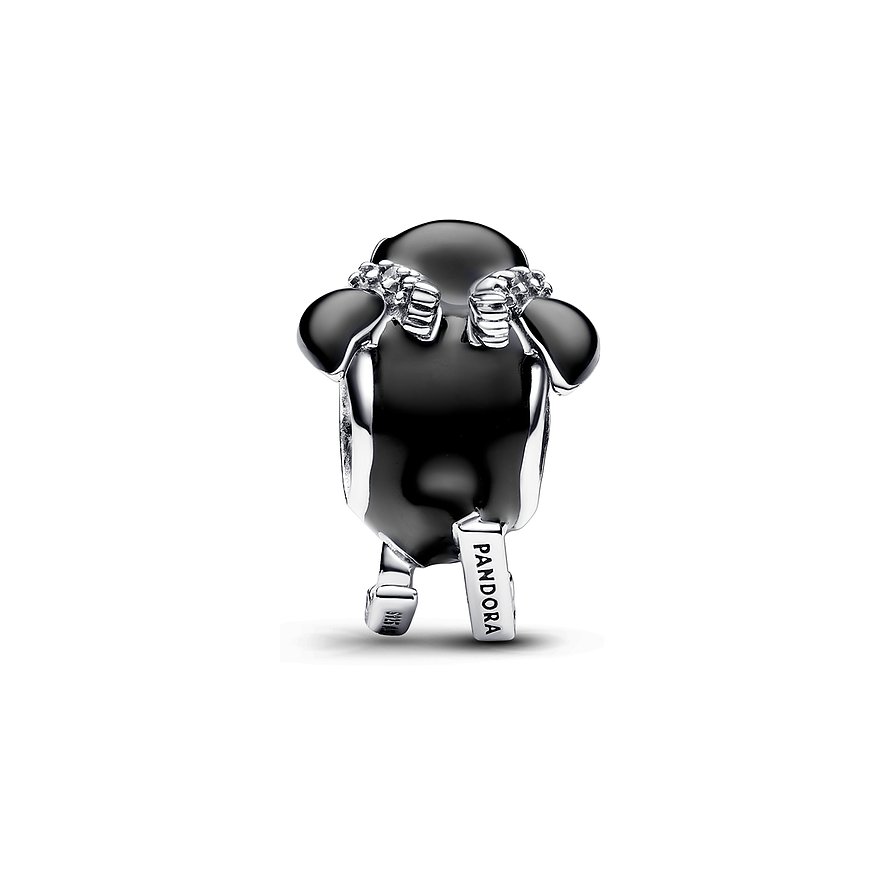 Pandora Charm Moments