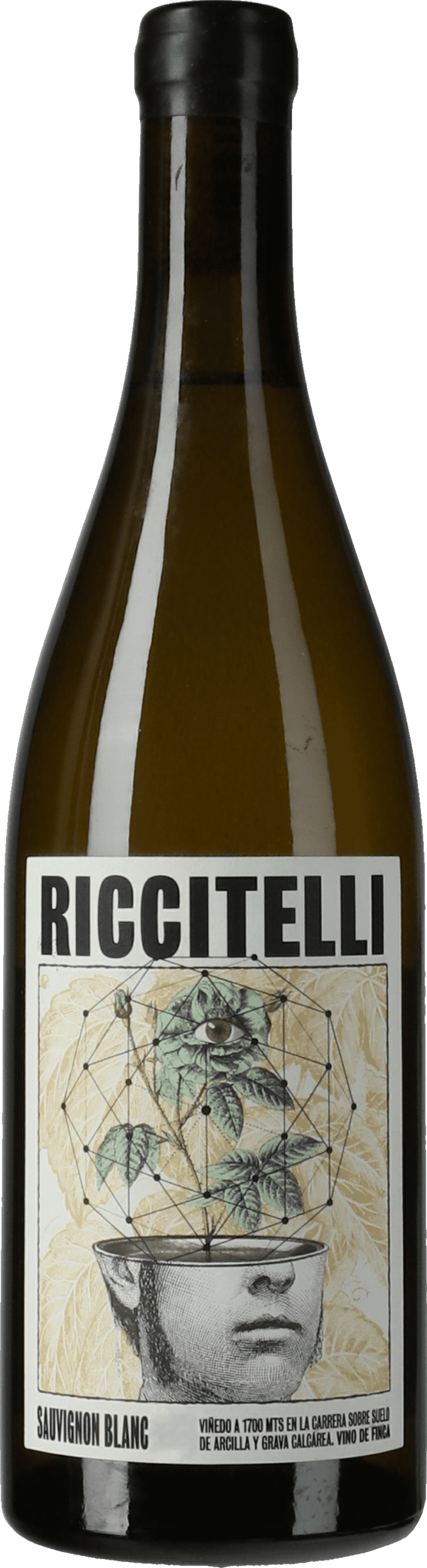 Matias Riccitelli: Vino de la Carrera Sauvignon Blanc 2021