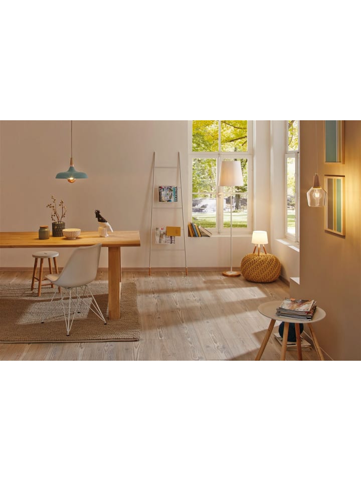 paulmann Filament 230V LED Birne F günstig kaufen onesize