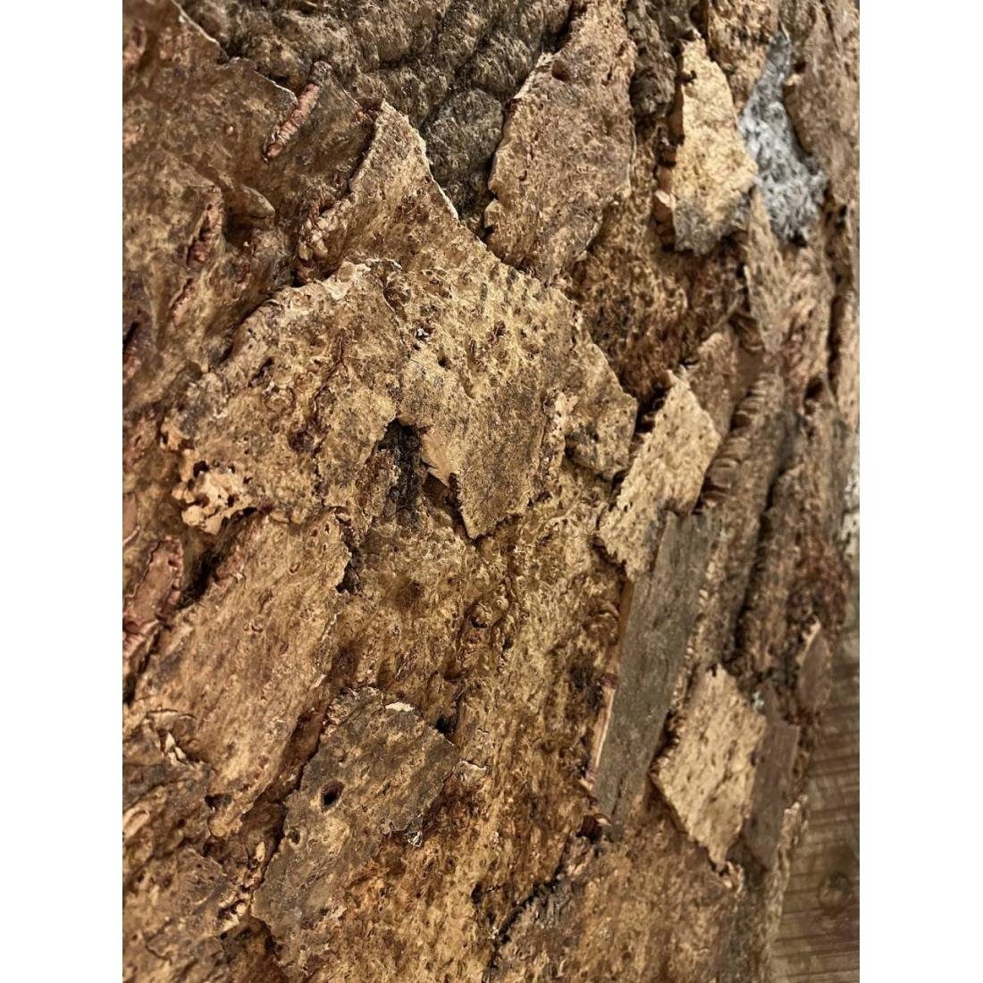 Kork-Deko.de Terrarienrückwand Rückwand für Terrarium & Auqarium aus Kork im Stil 