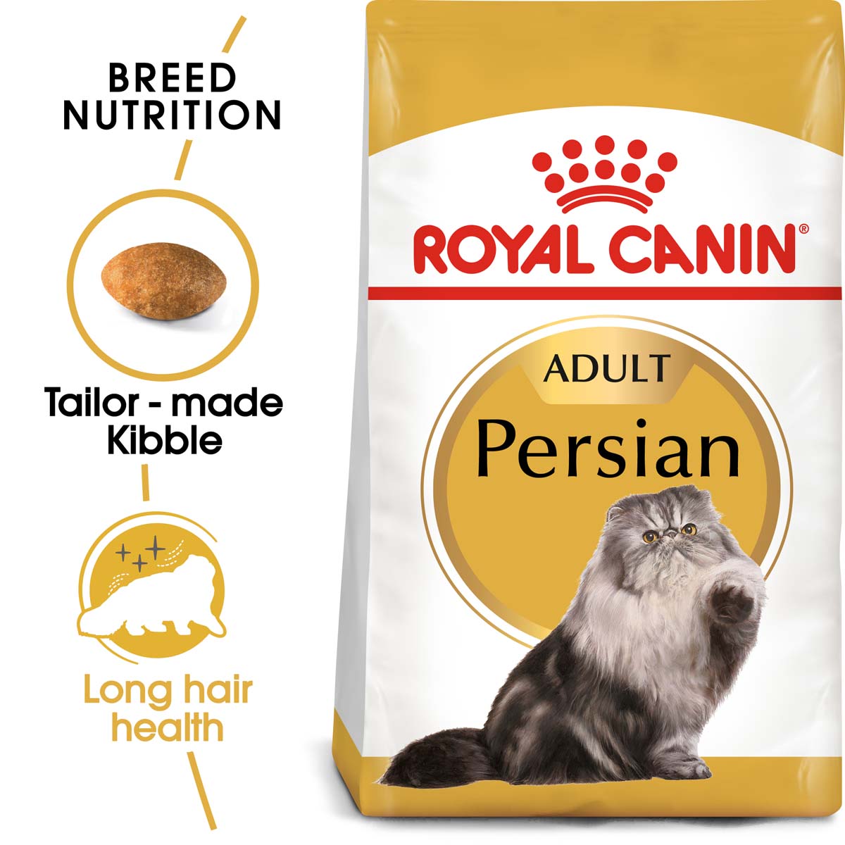 ROYAL CANIN ADULT Persian Trockenfutter 10kg + Nassfutter 48x85g