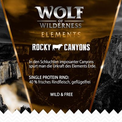 Wolf of Wilderness 