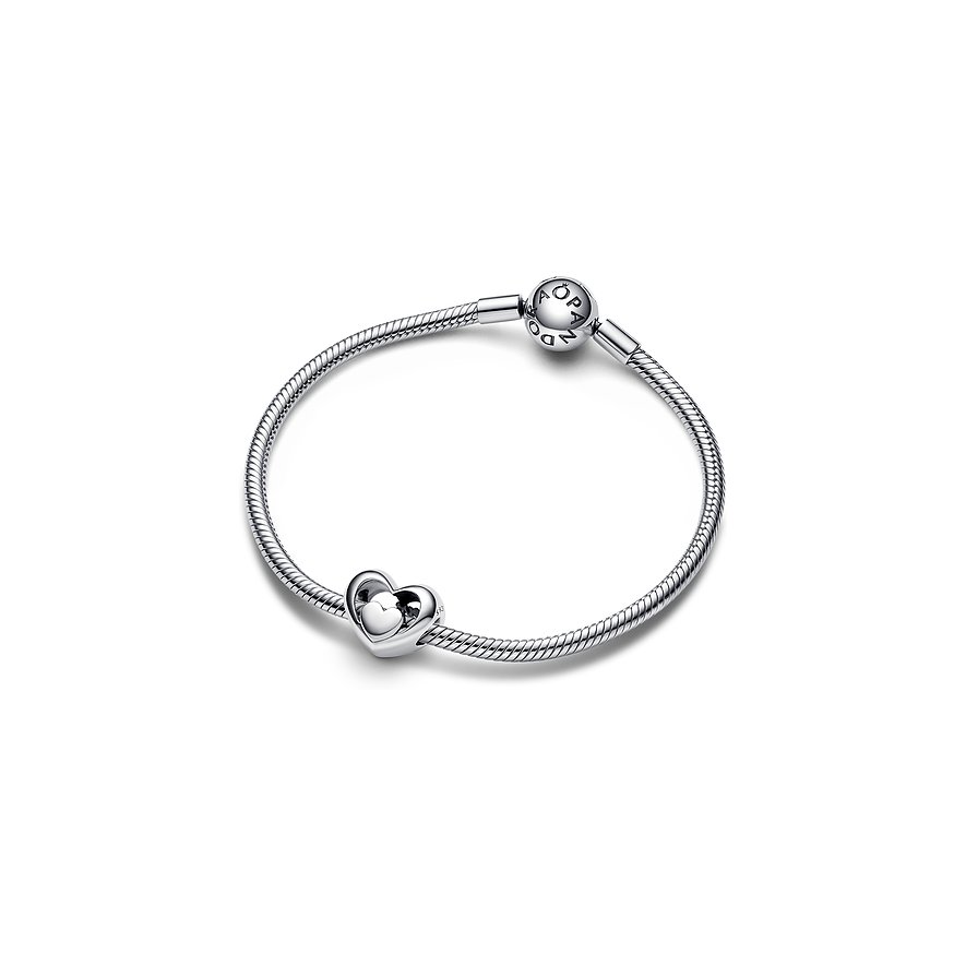 Pandora Charm Moments