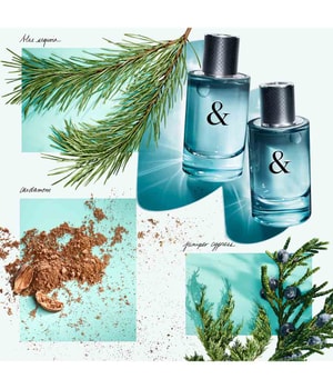 Tiffany & Co. & Love for Him Eau de Toilette 50 ml