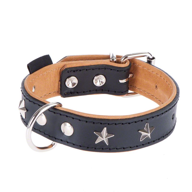 Heim Lederhalsband Stars zu TOP-Preisen