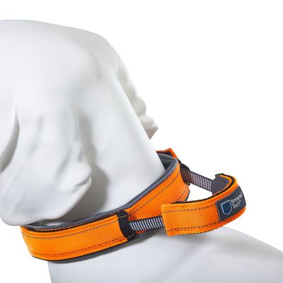 ArmoredTech Dog Control Halsband, orange