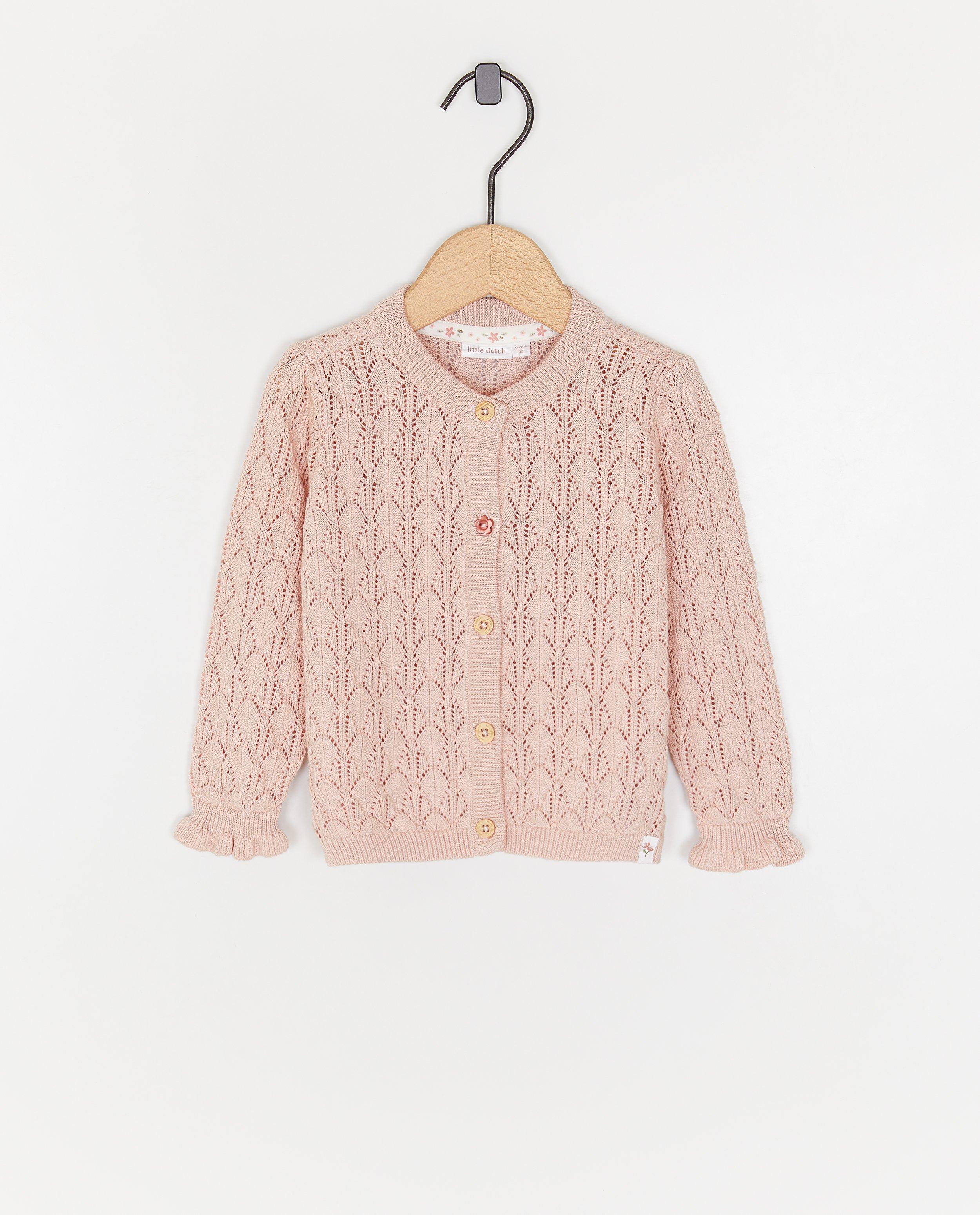 Micul Cardigan olandez sa întâlnit ajour roze