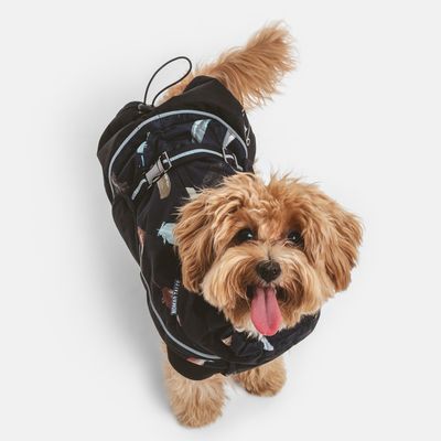 Nomad Tales Bloom Hundemantel Midnight