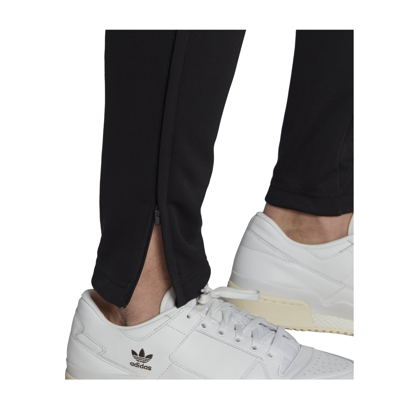 adidas Entrada 22 Trainingshose Schwarz