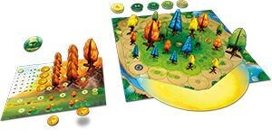 Photosynthese - Das Spiel um Licht und Schatten