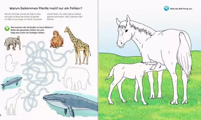 Ravensburger Wieso? Weshalb? Warum? aktiv-Heft: Tierkinder