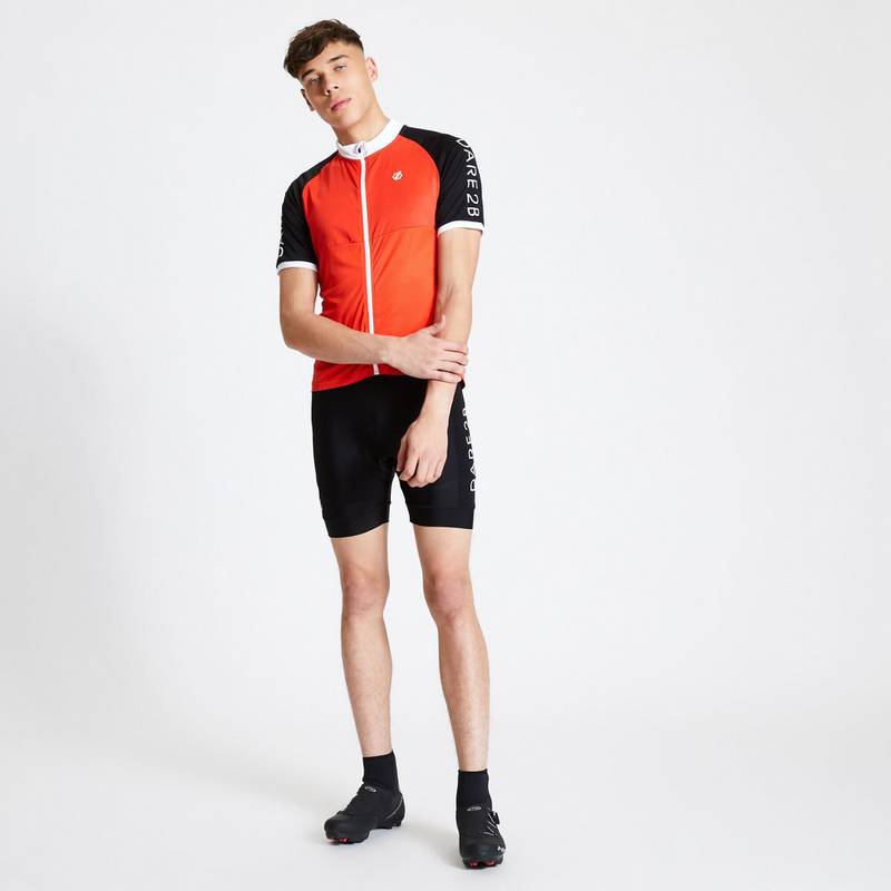 Dare 2B Ecliptic II Fahrradhose Herren
