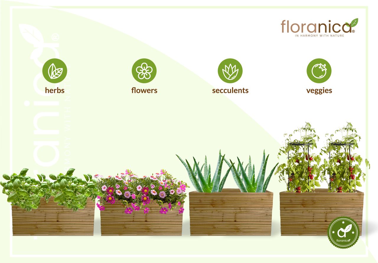 Pemicont Floranica Blumentopf aus Holz Kasten 50cm x 335cm x 285cm Nicht imprägnierte Lärche Schutzhülle für Kräuter Blumen Dekoration für Haus und Garten Innen- und Außenbereich EU-Produkt