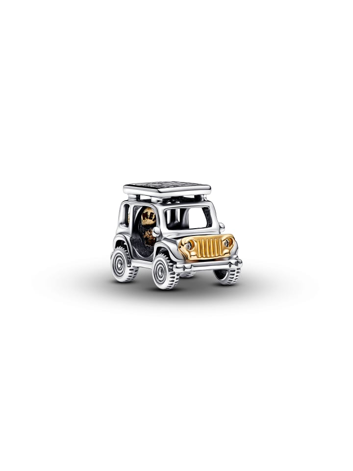 Pandora Charm Bicolor günstig kaufen onesize
