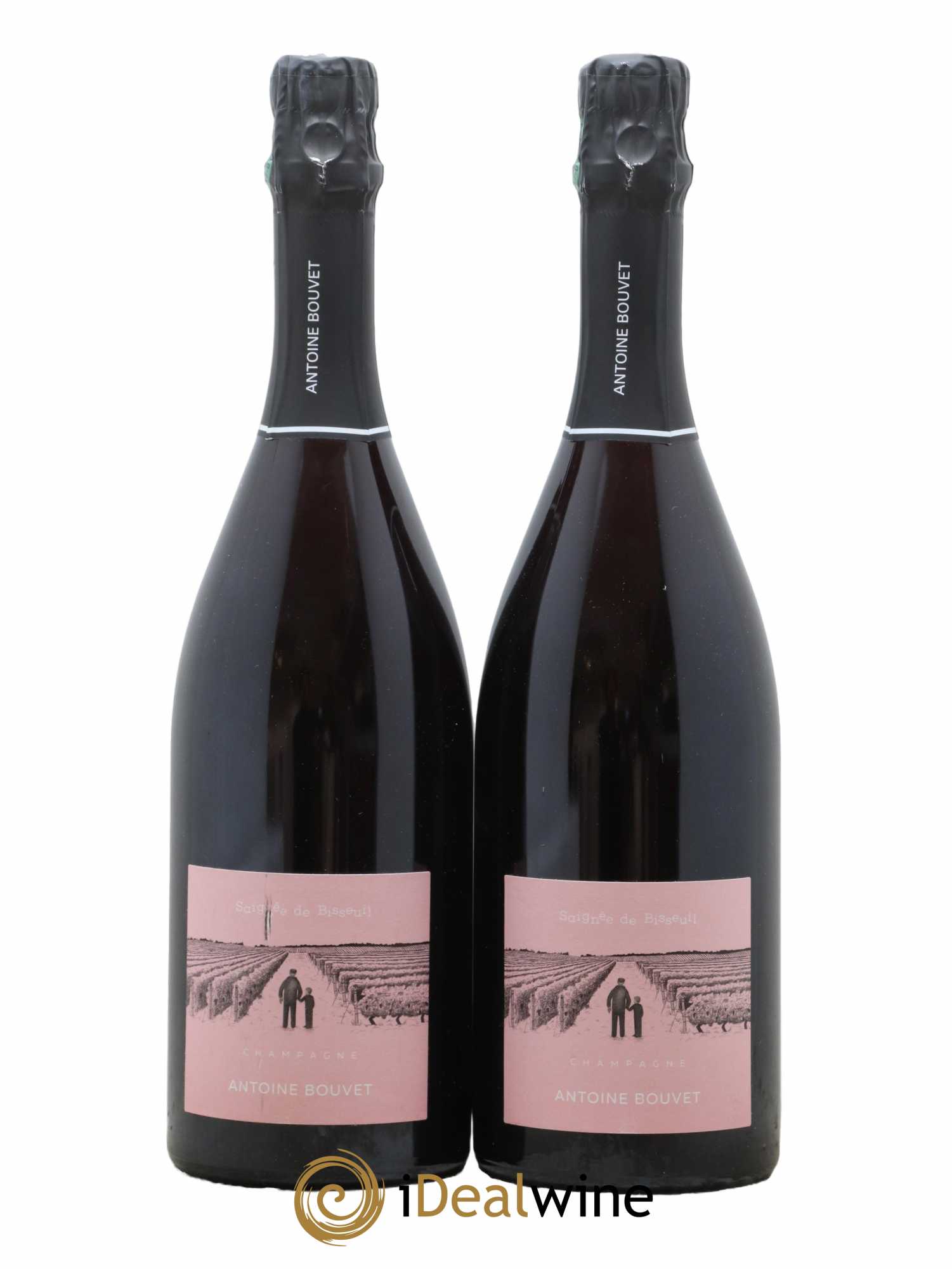 Saignée de Bisseuil les Pautes Extra Brut Antoine Bouvet  2019 - Lot de 2 Bouteilles