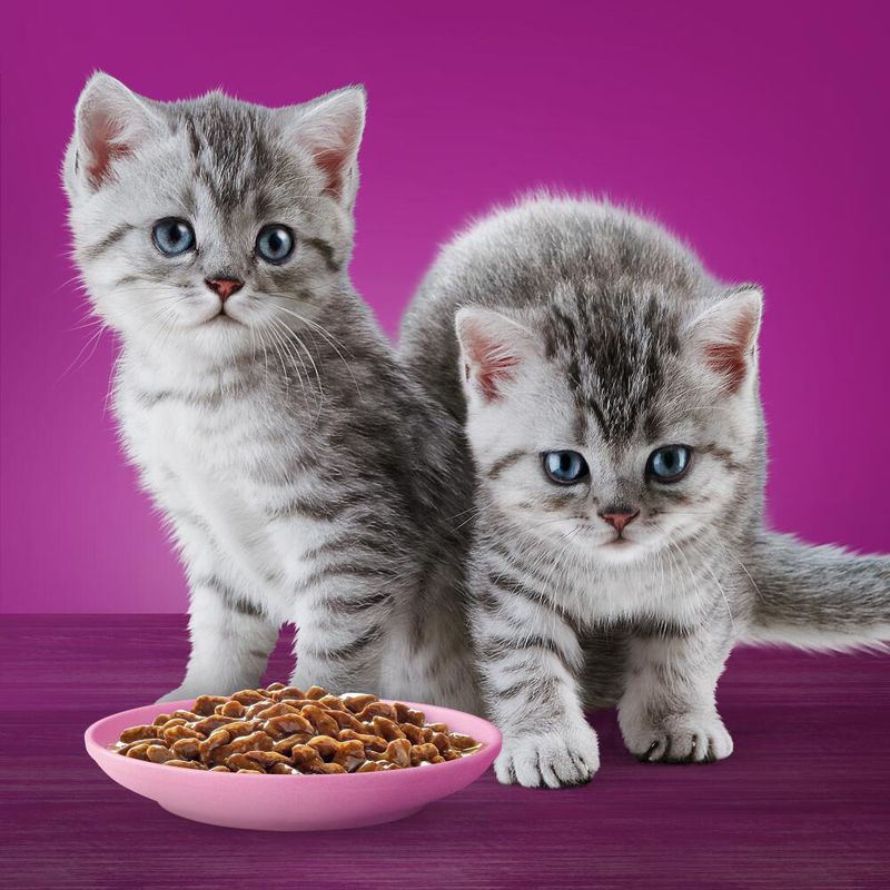 Megapack Whiskas Junior Frischebeutel 48 x 85 g