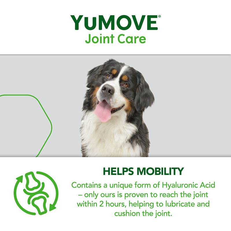 YuMOVE Gelenkpflege für ältere Hunde zu TOP-Preisen