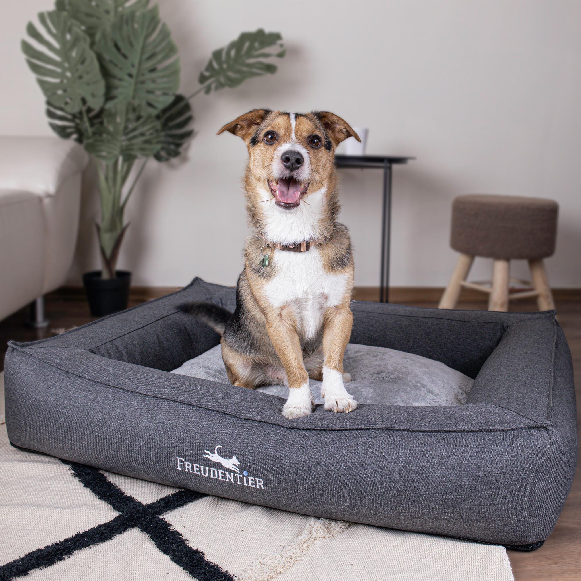 Freudentier Hundebetten Freudentier orthopädisches Box Hundebett Siebenschläfer XXL