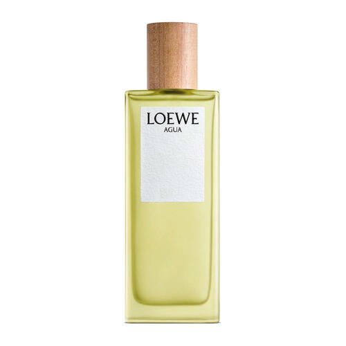 Loewe Agua De Loewe toaletna voda 100 ml