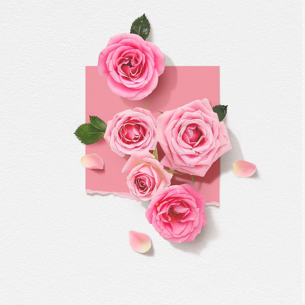 Solinotes Rose Crème Mains 30ml Crème mains