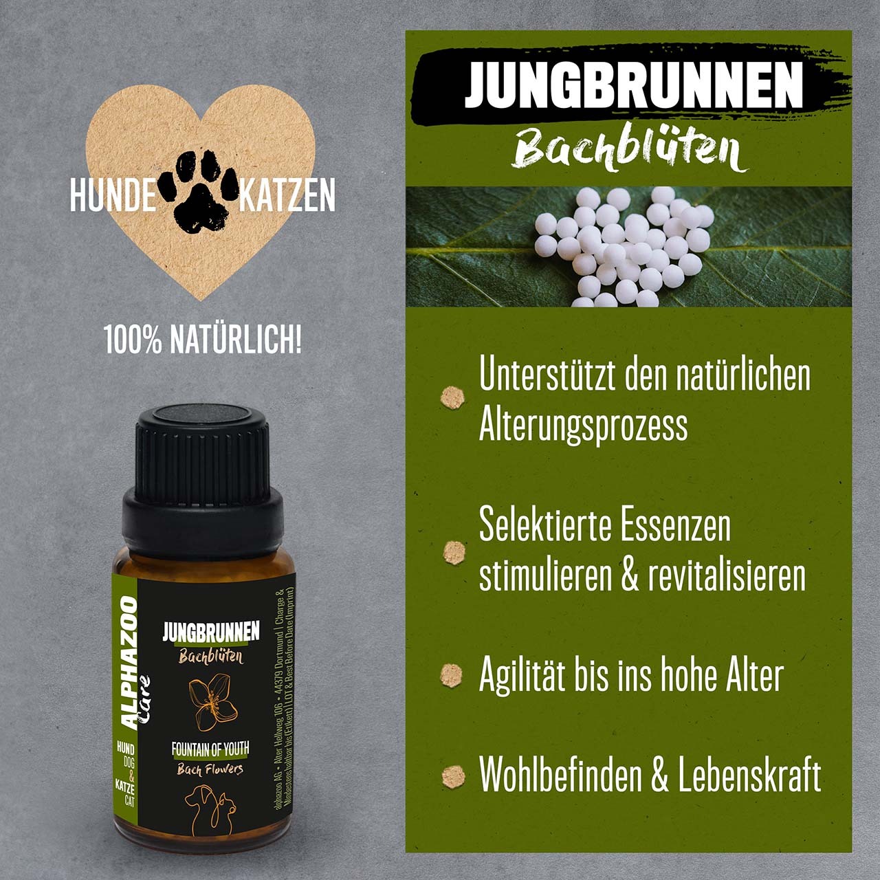 ALPHAZOO Ergänzungsfutter & Aufzucht ALPHAZOO Jungbrunnen Bachblüten, Globuli für Hunde und Katzen