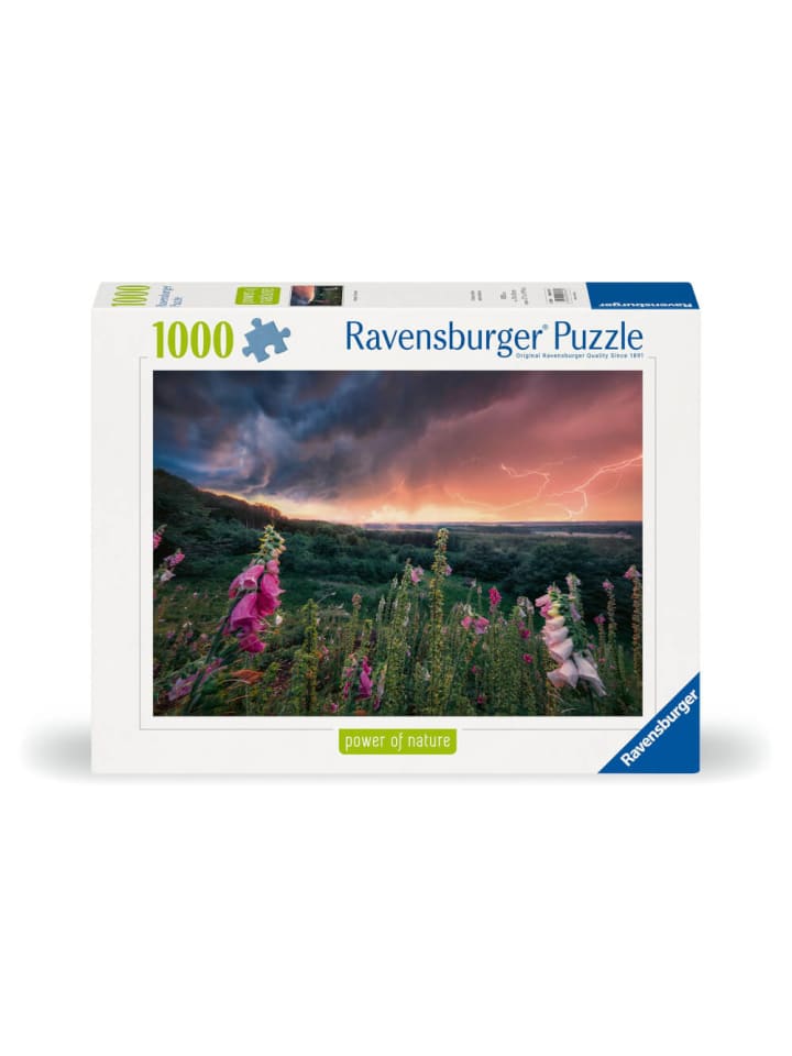 Ravensburger Puzzle Ein Sturm zieht auf 1000 Teile, ab 14 Jahre günstig kaufen onesize
