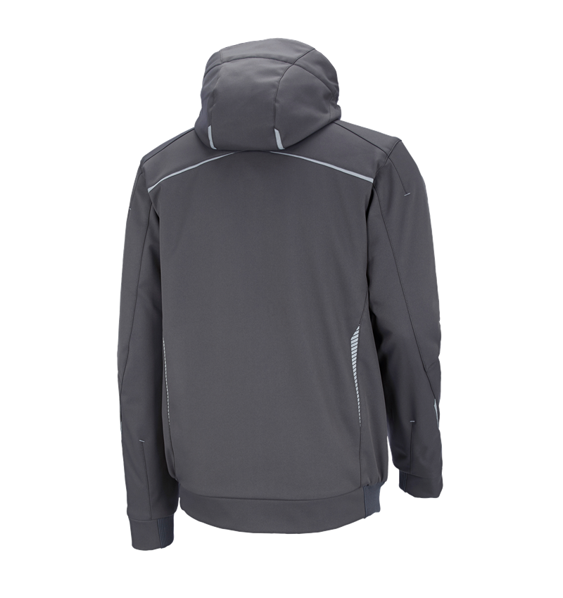 Winter Softshelljacke e.s.motion 2020, Herren
