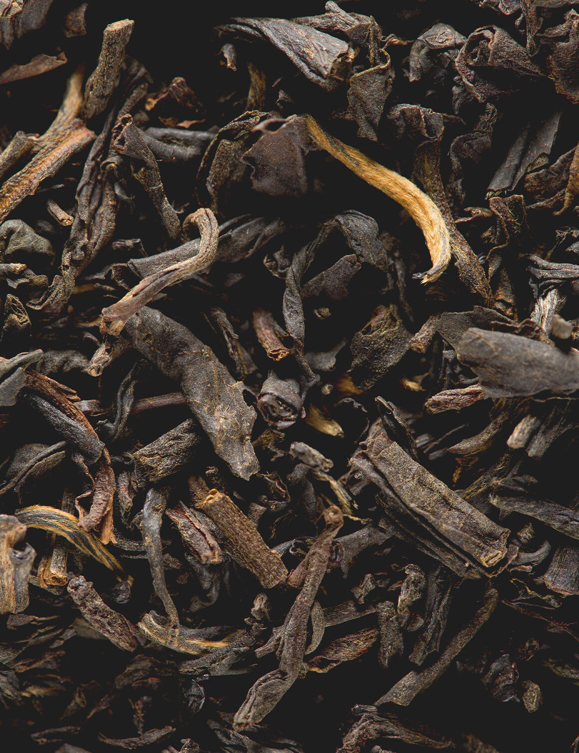 Smokey Lapsang-25 sachets