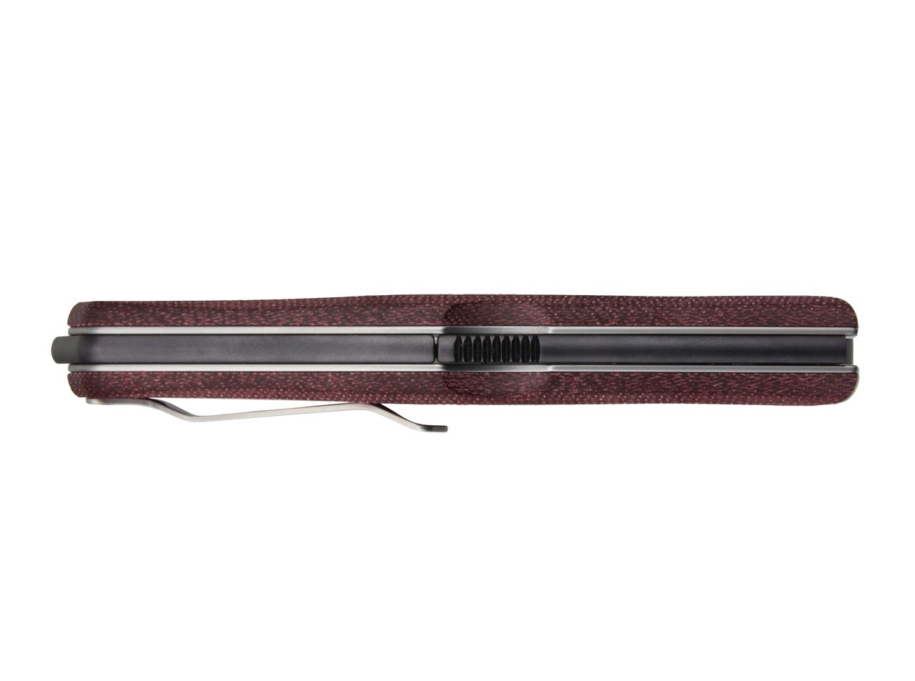 Gekko 1555